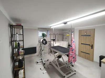 Piękna Łapka - Salon strzyżenia psów